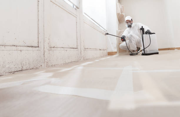 24/7 Emergency Attic Mold Removal experts in Wheaton, MD